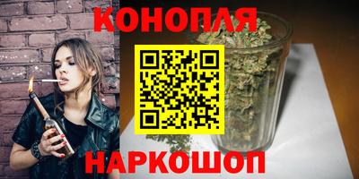 шишки Коммунар