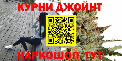 спиды Кингисепп