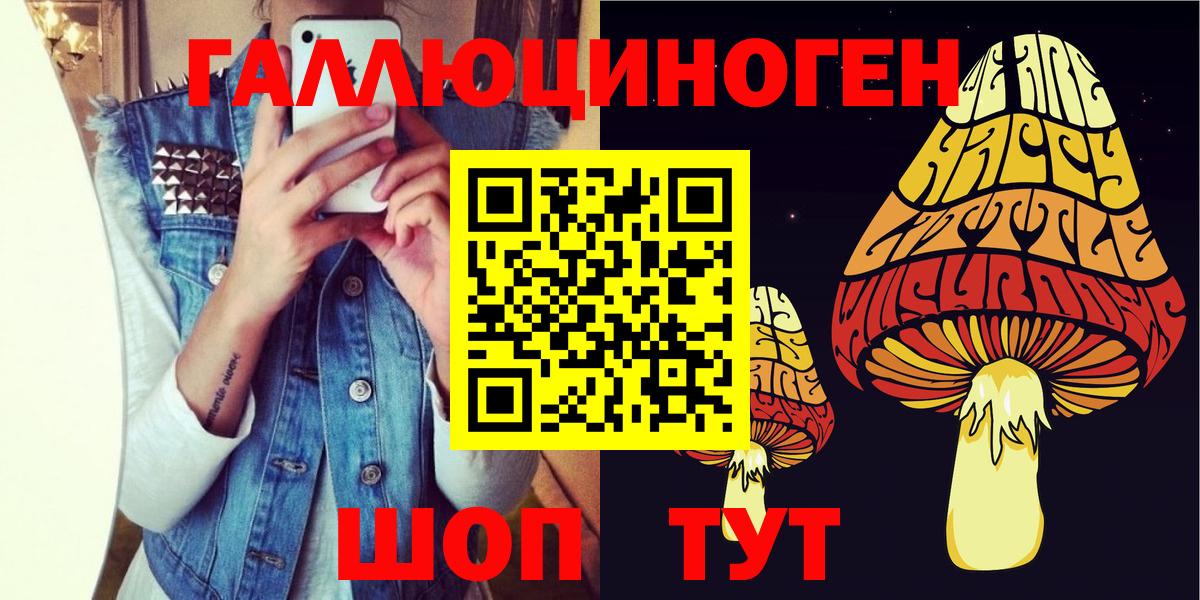 Киселёвск  Галлюциногенные грибы Cubensis  Вход с VPN  Галлюциногенные грибы ЛСД 
