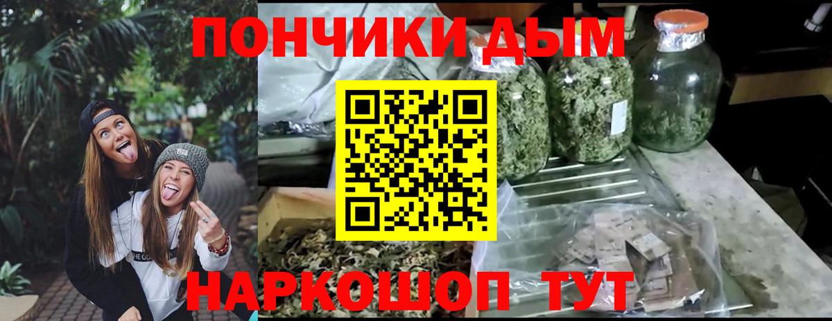 Каннабис OG Kush  Бошки марихуана марихуана  Шишки марихуана тримм  Киселёвск  Вход с VPN 