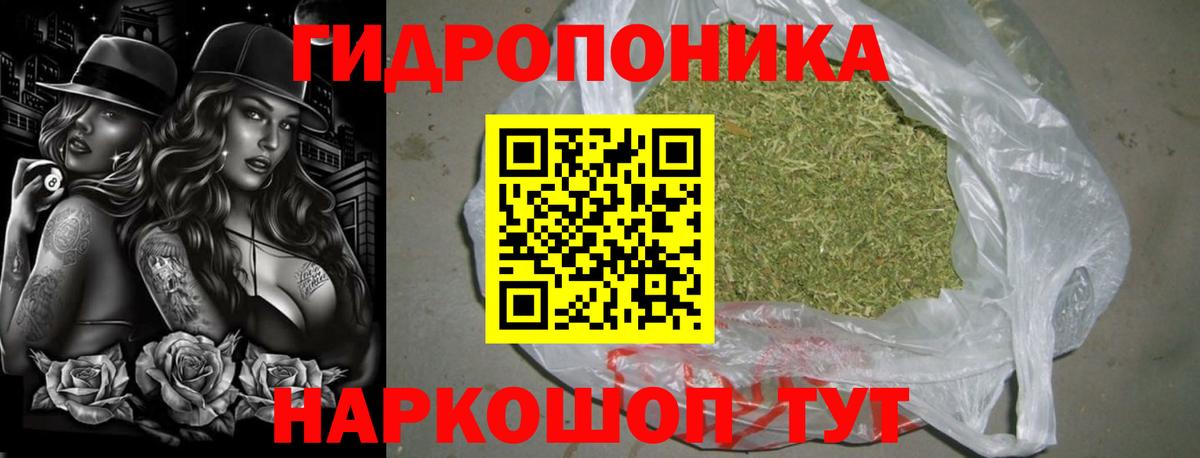 Бошки Шишки план Киселёвск